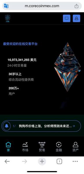 CO-RE交易所是否安全？為什麼一直無法出金？平台要求支付稅金、保證金才能提領，我才發現自己遇到投資詐騙！完整自救經驗公開！