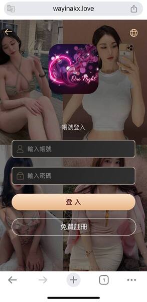 法律專家的公開信：正視「BitDa」這類平台對社會經濟秩序的潛在危害